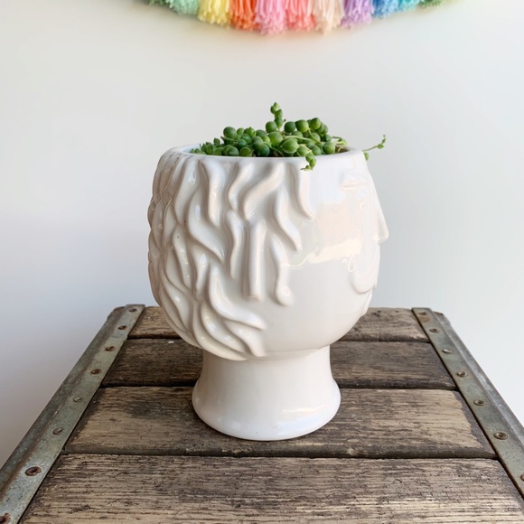 Mustache Gentleman Man Bust Planter Pot White - Picture 4 of 7